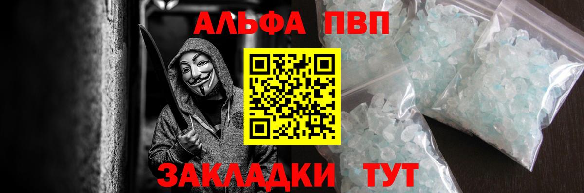 Alfa_PVP СК КРИС Кандалакша