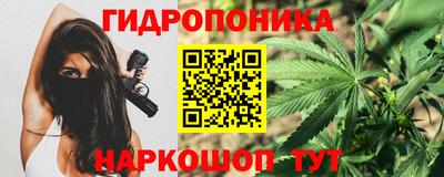 прущие грибы Конаково