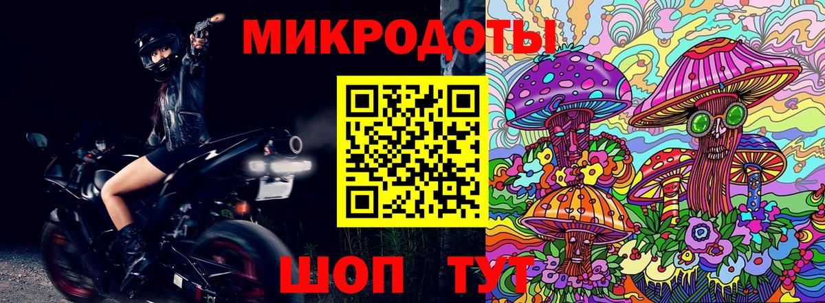 Кандалакша  Псилоцибиновые грибы мицелий  Вход с VPN  Галлюциногенные грибы мухоморы 
